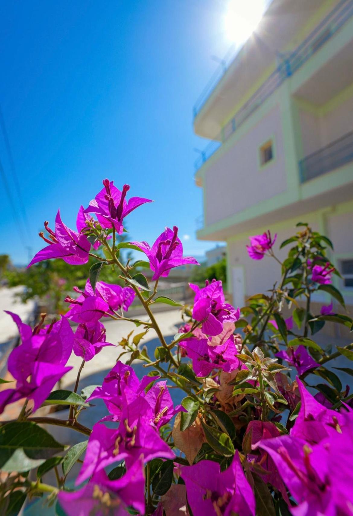 Sunflower Hotel Ksamil Exteriér fotografie