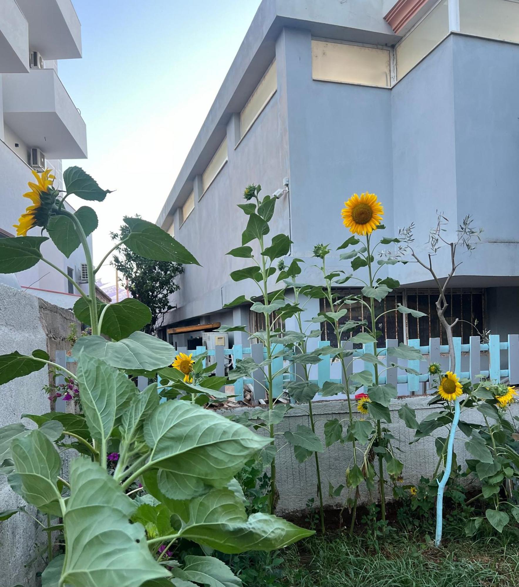Sunflower Hotel Ksamil Exteriér fotografie